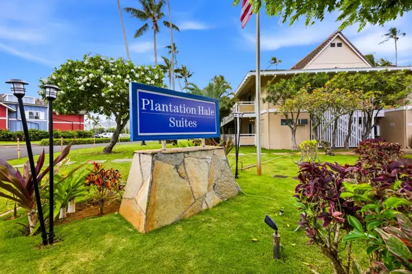 Plantation Hale D10