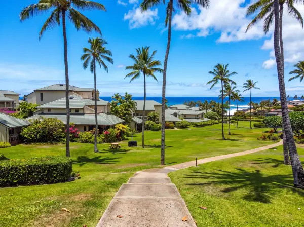 Manualoha 608