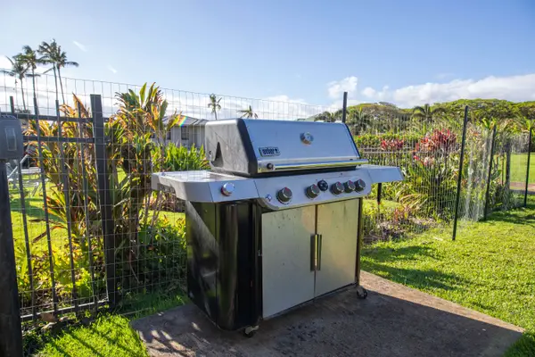 Manualoha 302