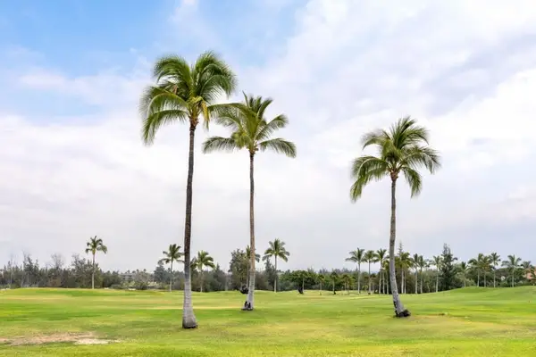 Vista Waikoloa #A-105