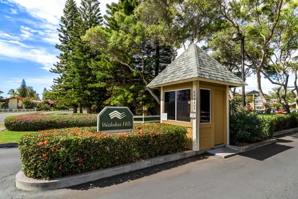Waikoloa Hills #105 – Pineapple Paradise