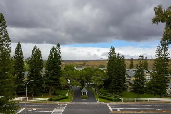 Waikoloa Hills #105 – Pineapple Paradise