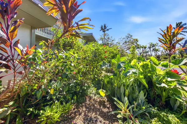 Garden Oasis at Puamana