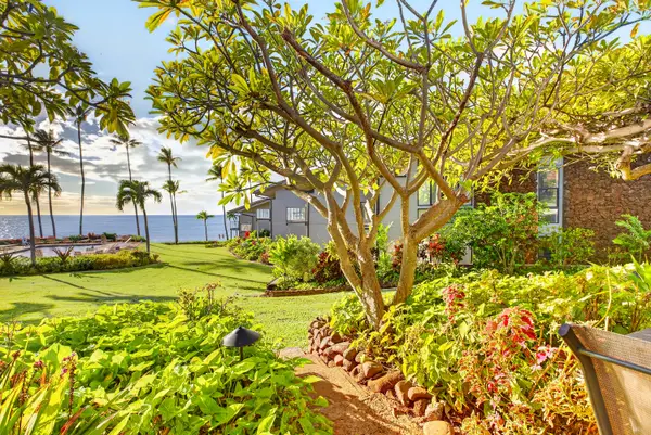 Mahina Surf 112