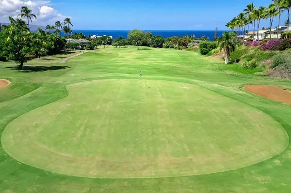 Wailea Grand Champions 58