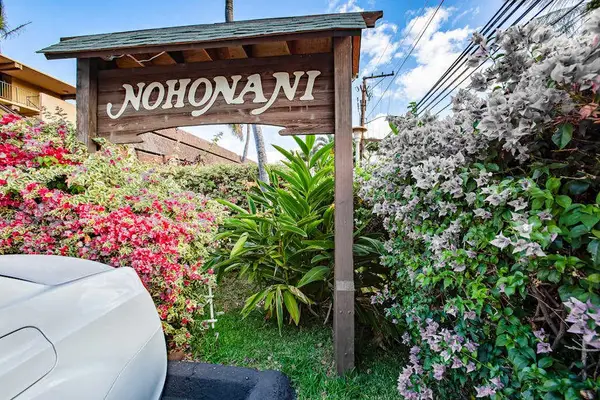 Welcome to Nohonani!