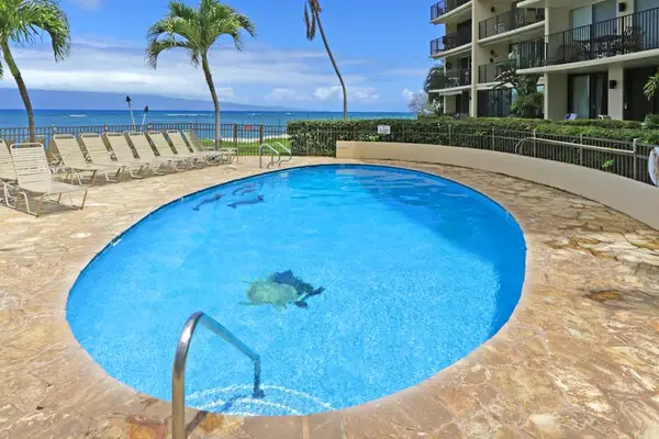Oceanfront pool featuring a poolside BBQ area.