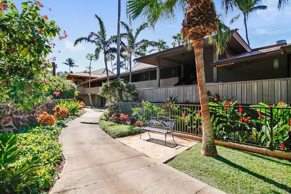Palm Lined Paths To Paradise