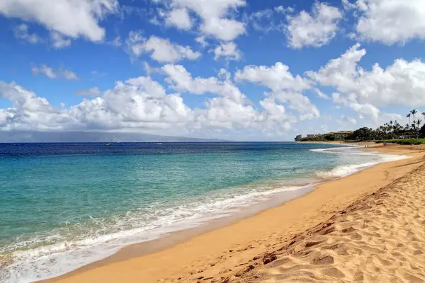 Golden Sands Just Steps Away