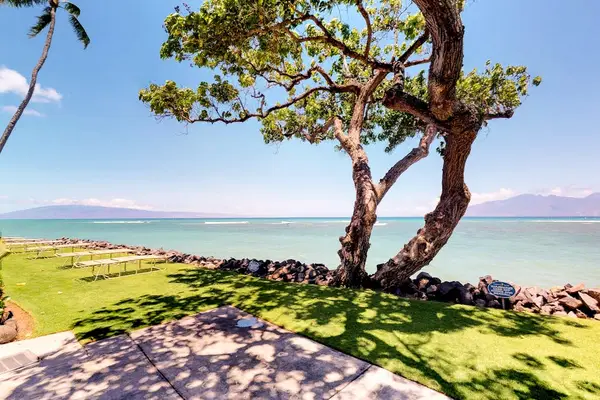 Breathtaking Oceanfront Garden Views
