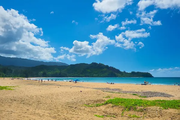 Golden Sands Along A Quiet Bay