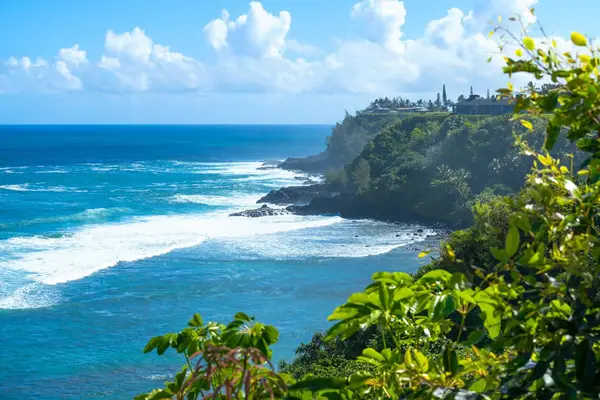 Dramatic Cliffs Above The Pacific