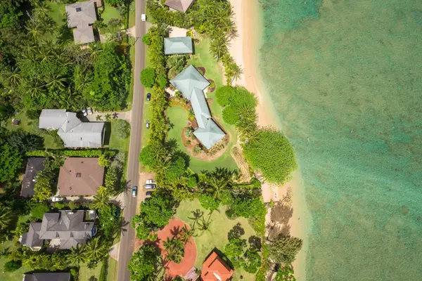 Where Tropical Dreams Meet The Pacific Ocean