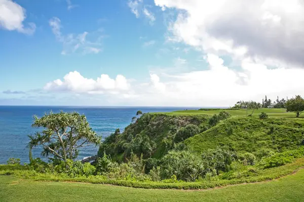 Rolling Coastal Greens And Ocean Views