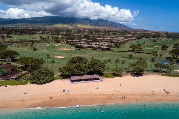 Panoramic Coastline From Above