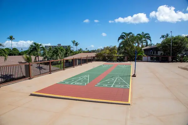 Challenge Friends On The Shuffleboard Court