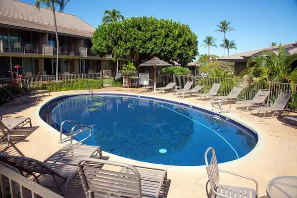Relax Poolside In Tropical Paradise