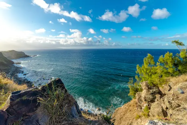 Dramatic ocean cliffs and endless blue