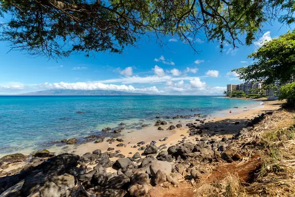 Secluded beach with crystal-clear waters