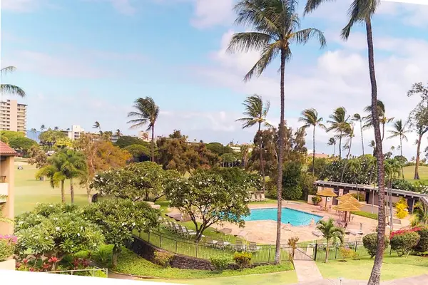 Resort pool surrounded by lush palms
