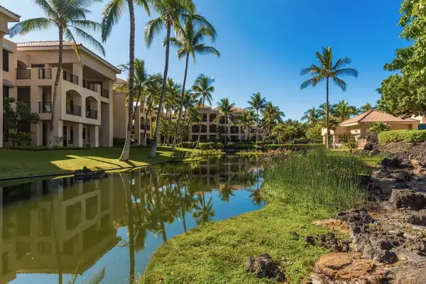 Peaceful Tropical Lagoon Views