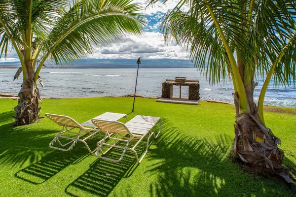 Lounge Beneath The Swaying Palms