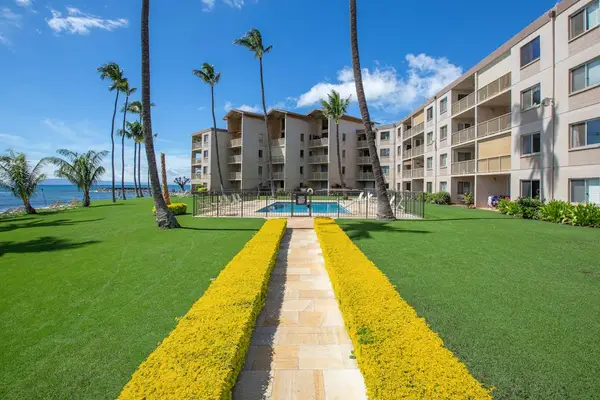Palm Lined Resort Walkways