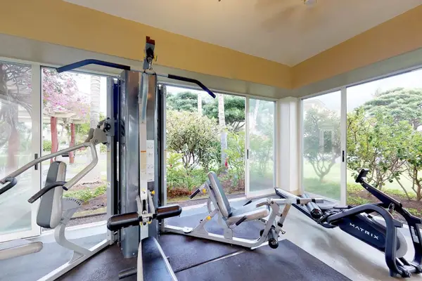 Bright gym with garden views