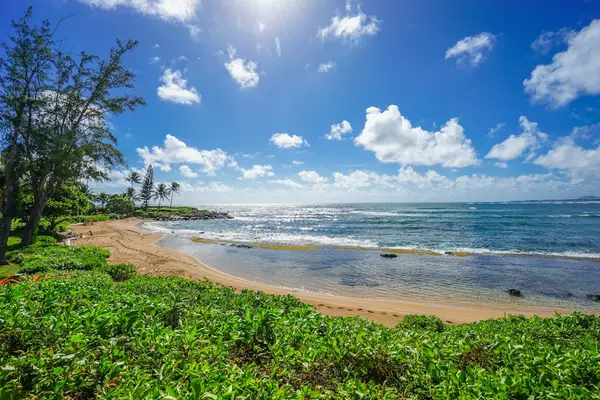 Oceanfront Paradise At Your Doorstep
