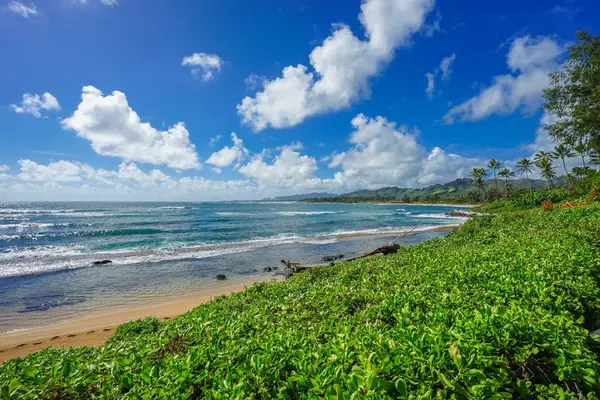 Endless Pacific Ocean Views
