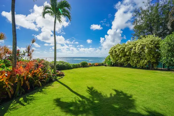 Tropical Lawn Perfect For Relaxing