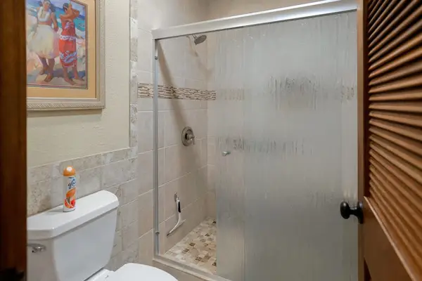 Walk In Shower With Modern Finishes
