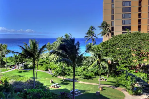 Twilight Views Across Tropical Gardens