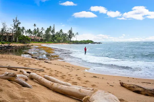 Swaying palm trees line the white sandy beach, with the turquoise waters of the Pacific Ocean creating a breathtaking tropical backdrop.