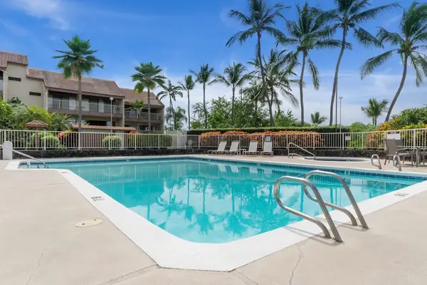 Refreshing Pool with Palm Tree Views
