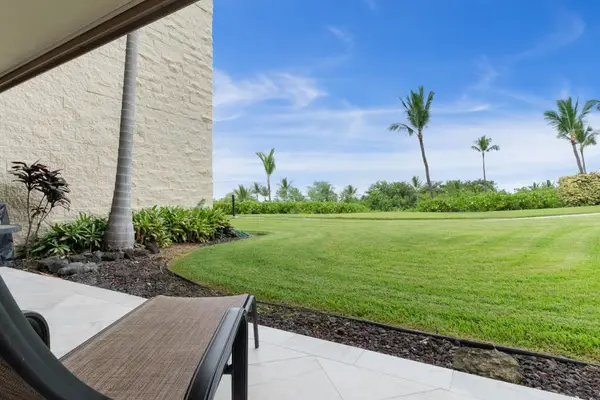 Expansive Manicured Lawn with Tropical Palm Trees & Bright Blue Sky