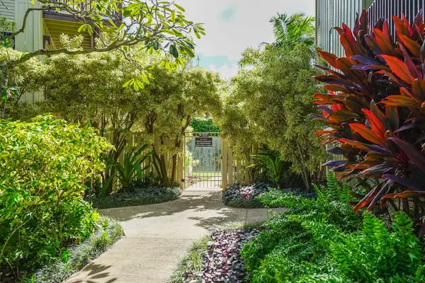 Lanikai Resort tropical foliage