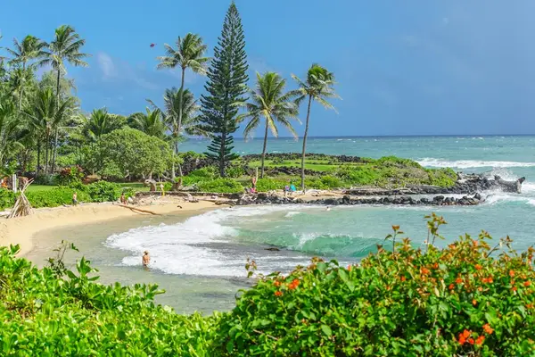 Swaying palm trees line the white sandy beach, with the turquoise waters of the Pacific Ocean creating a breathtaking tropical backdrop.
