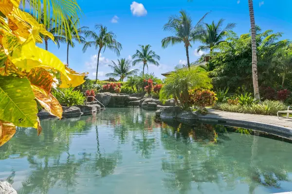 Lagoon Style Pool Surrounded By Paradise