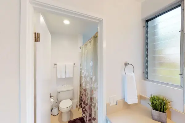 Master bathroom with walk-in shower.
