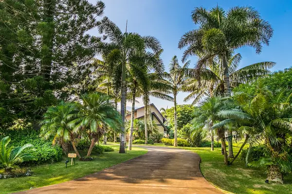 Palm Lined Drive To Your Island Escape