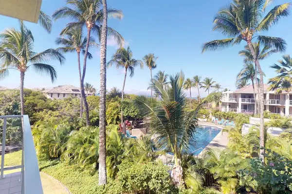 Pool Views Framed By Palms
