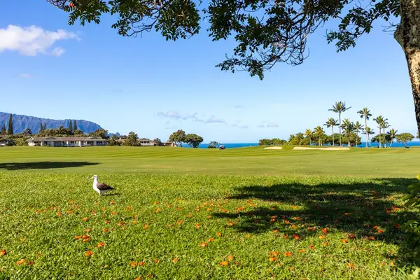 Expansive Lawn With Mountain Backdrop