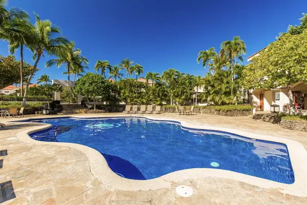 Resort Pool With Tropical Paradise