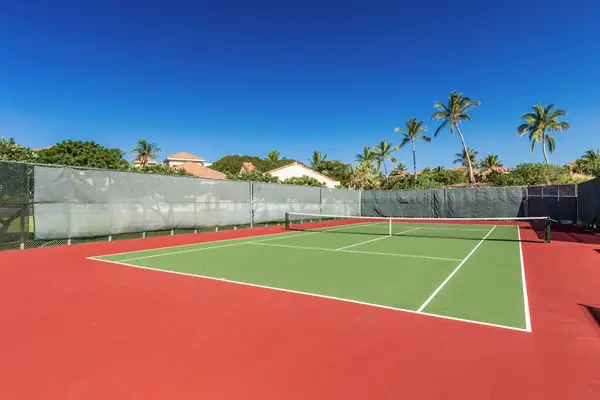 Championship Tennis Court