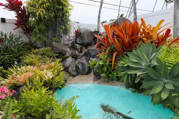Tropical garden with tranquil water feature