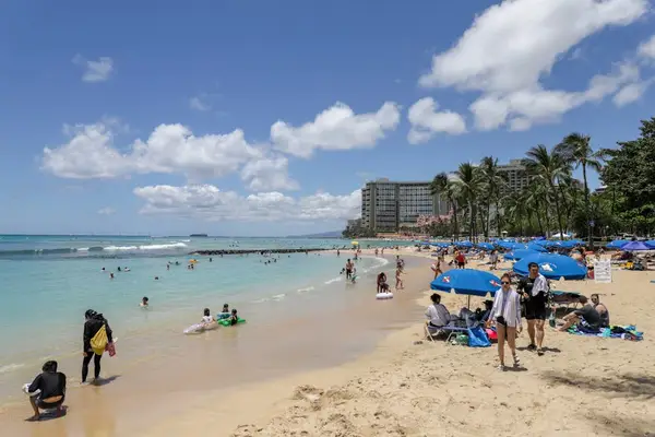 Spend your days on world-famous Waikiki Beach with crystal-clear waters, soft sand, and endless sunshine.