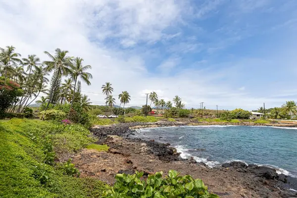 Scenic Coastline With Swaying Palm Trees