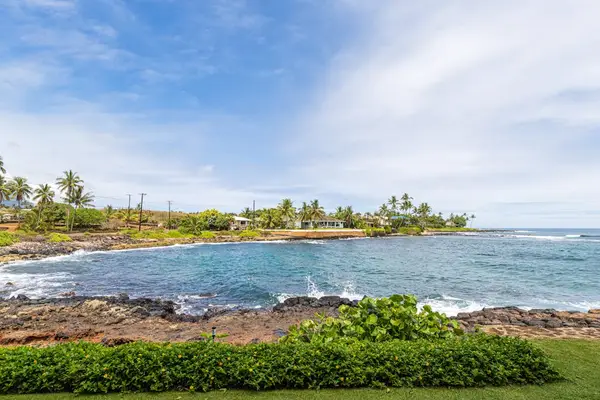 Stunning Oceanfront Just Steps Away