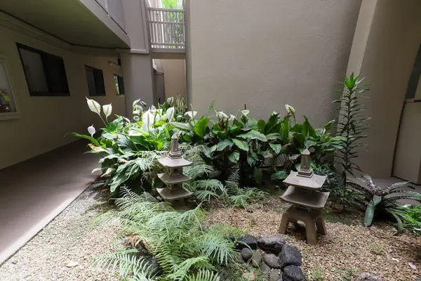 Tranquil Tropical Courtyard Garden